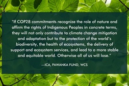 News Statement for Indigenous Peoples Day at COP28, Dec. 5, 2023 From: Inclusive Conservation Academy, Pawanka Fund, Wildlife Conservation Society